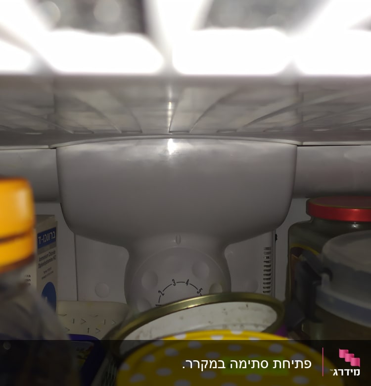 מדף מקרר עם צנצנות ומד טמפרטורה